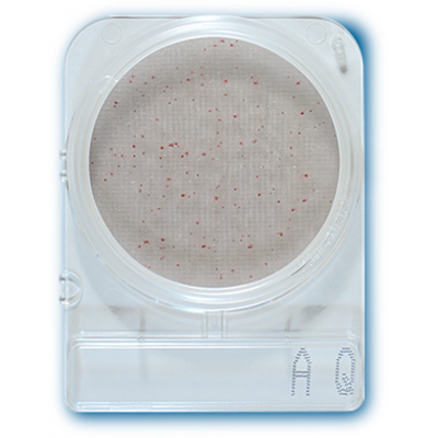 Compact Dry AQ - Placi Petri pentru Analiza Apei